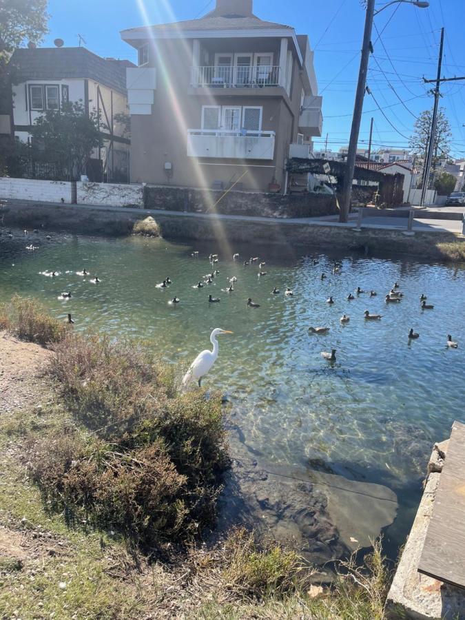 Alloggio in famiglia Private & Bathroom In Shared Oceanfront Home, Marina Del Rey *